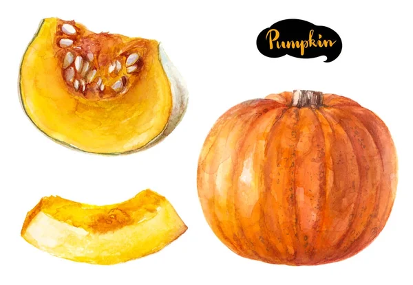 Tohum ile kesilmiş kabak bütün, dilim