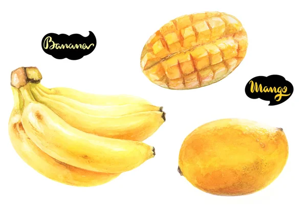 Mangas e frutos de banana — Fotografia de Stock
