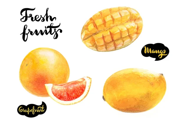 Манго і грейпфрути акварельні ілюстрації — стокове фото