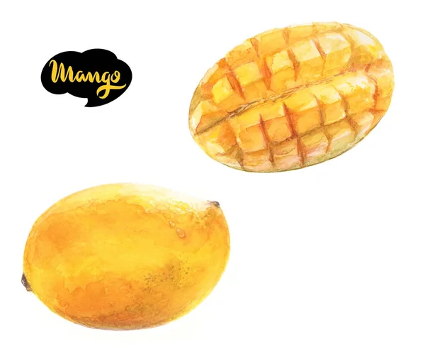 Mango Frucht Aquarell Illustration — Stockfoto