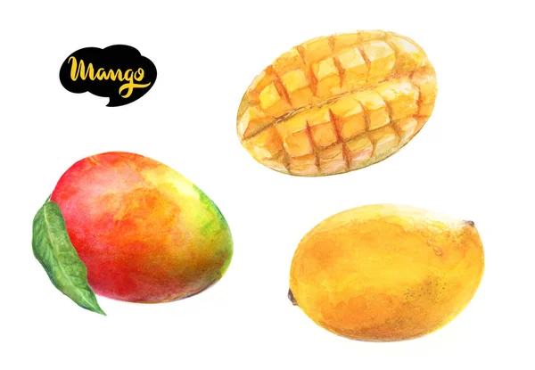 Akwarela ilustracja mango — Zdjęcie stockowe