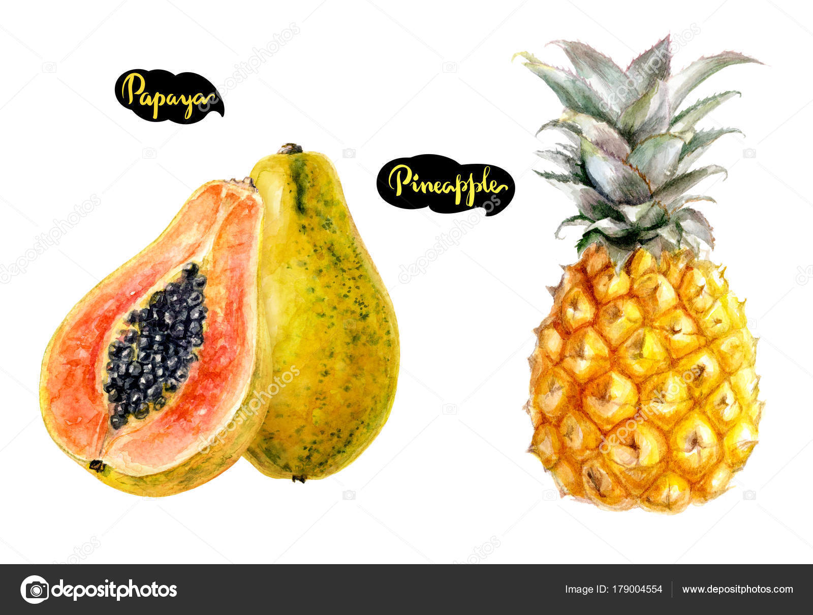 パパイヤ パイナップル手描き水彩イラスト白背景に分離 ストック写真 C Diidik パパイヤ パイナップル手描き水彩イラスト白背景に分離 ストック写真 C Diidik