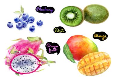 Dragon meyve, yaban mersini, kivi, mango el çizmek suluboya illüstrasyon izole beyaz arka plan üzerinde