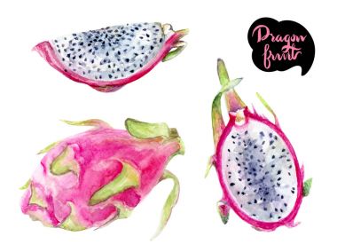 Dragon meyve çizilmiş suluboya illüstrasyon izole beyaz arka plan üzerinde el.