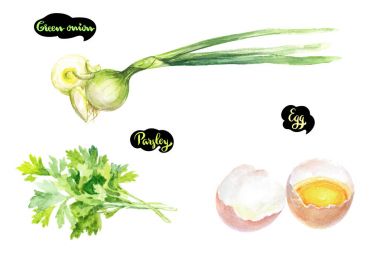 Otlar ve baharatlar mutfak suluboya takımı. Yeşil soğan, maydanoz, çiğ yumurta suluboya elle çizilmiş illüstrasyon izole beyaz arka plan üzerinde.