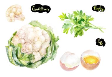 Otlar ve baharatlar mutfak suluboya takımı. Karnabahar, maydanoz, yumurta suluboya el beyaz zemin üzerine çizilen illüstrasyon izole.