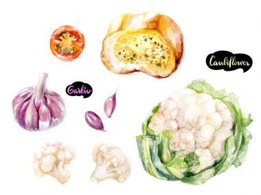 Otlar ve baharatlar mutfak suluboya takımı. Karnabahar, sarımsak, sarımsaklı ekmek, kiraz domates sulu boya elle çizilmiş illüstrasyon izole beyaz arka plan üzerinde.