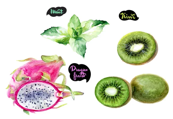 Dragon Fruit Mint Kiwi Fruit Hand Draw Watercolor Illustration Isolated — Stock Photo, Image