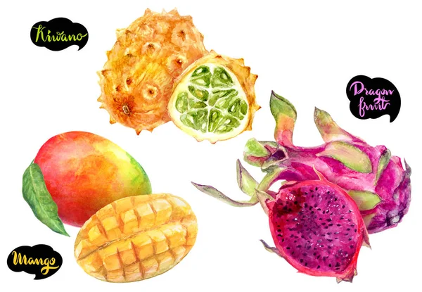 Dragon Fruit Mango Kiwano Hand Drawn Watercolor Illustration Isolated White — Stock Photo, Image