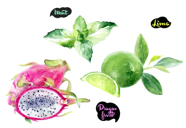 Dragon Fruit Tilleul Menthe Feuilles Dessinées Main Aquarelle Illustration Isolée — Photo