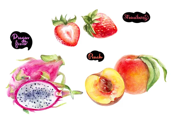 Dragon Fruit Peach Strawberries Hand Drawn Watercolor Illustration Isolated White — Stock Photo, Image