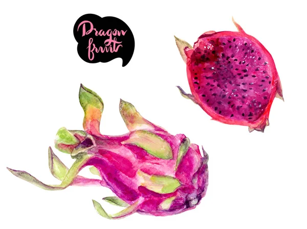 Drago Frutta Mano Disegnare Acquerello Illustrazione Isolato Sfondo Bianco — Foto Stock