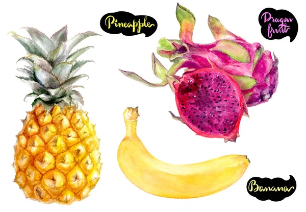 Dragón Fruta Plátano Piña Dibujado Mano Acuarela Ilustración Aislada Sobre —  Fotos de Stock