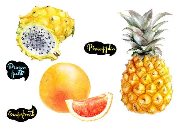 Dragon Fructe Ananas Grapefruit Mână Desenate Acuarelă Ilustrare Izolat Fundal — Fotografie, imagine de stoc