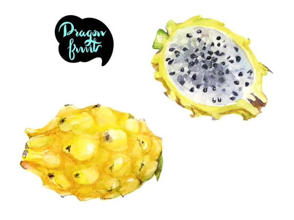 Dragón Fruta Mano Dibujado Acuarela Ilustración Aislada Sobre Fondo Blanco —  Fotos de Stock