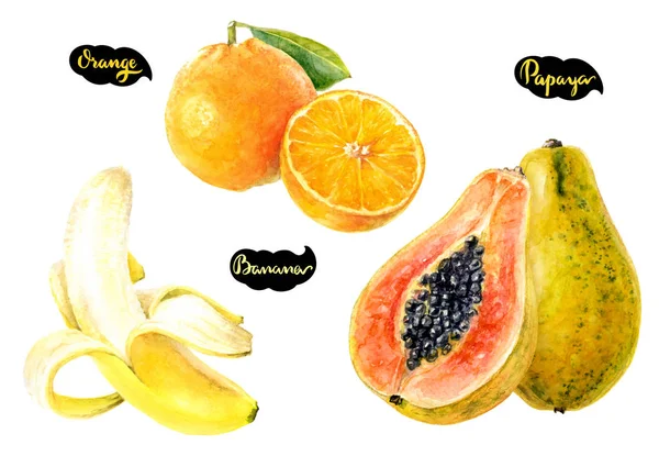Papaya Plátano Naranjas Ilustración Acuarela Dibujada Mano Aislada Sobre Fondo —  Fotos de Stock