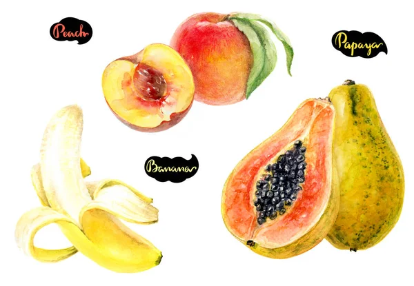Őszibarack Papaya Banán Akvarell Kézzel Rajzolt Ábrán Elszigetelt Fehér Background — Stock Fotó