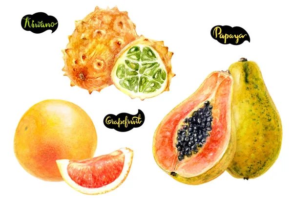 Papaya Kiwano Pomelo Dibujado Mano Acuarela Ilustración Aislada Sobre Fondo — Foto de Stock