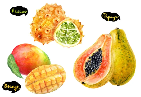 Papaja Mango Kiwano Akwarela Ilustracja Białym Tle — Zdjęcie stockowe