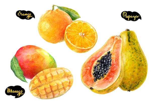 Papaja Mango Pomarańcze Akwarela Ilustracja Białym Tle — Zdjęcie stockowe