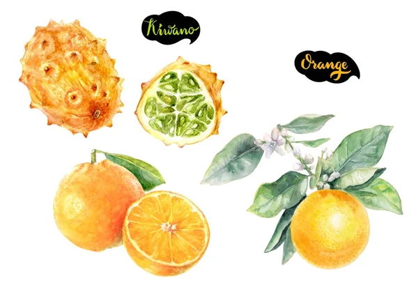 Kiwano Narancssárga Akvarell Kézzel Rajzolt Ábrán Elszigetelt Fehér Background — Stock Fotó
