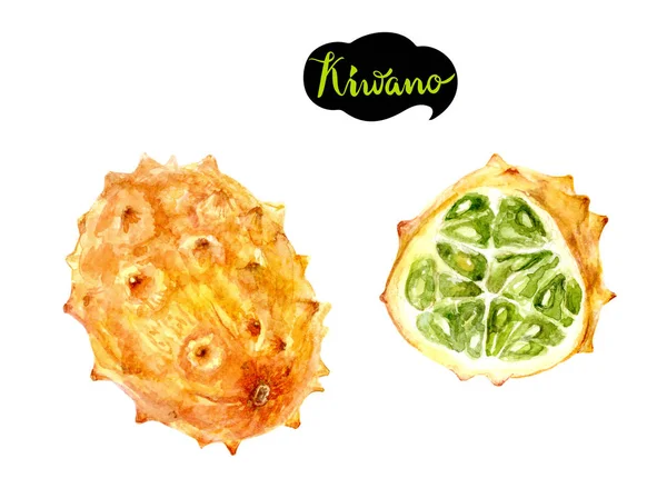 Kiwano Tropic Frutta Disegnato Mano Acquerello Illustrazione Isolato Sfondo Bianco — Foto Stock
