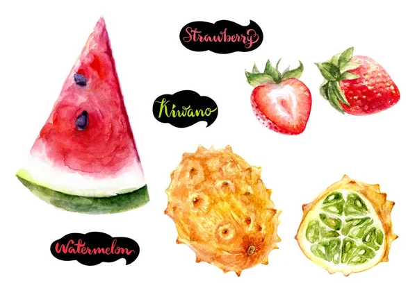 Kiwano Aardbeien Watermeloen Hand Getrokken Aquarel Illustratie Geïsoleerd Witte Achtergrond — Stockfoto