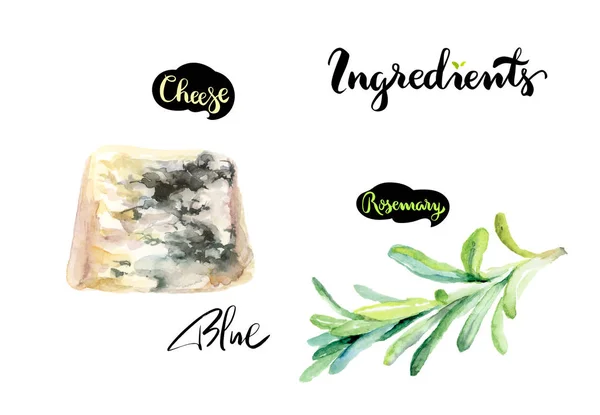 Cheese Blue Rosemary Branch Watercolor Hand Drawn Illustration Isolated White — Stock Photo, Image