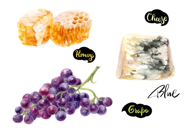 Cheese Blue Honey Grape Watercolor Hand Drawn Illustration Isolated White — Stock Photo, Image