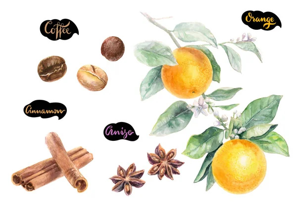 Apelsiner Kanel Anis Stjärnor Kaffebönor Akvarell Handritade Illustration Isolerade Vit — Stockfoto