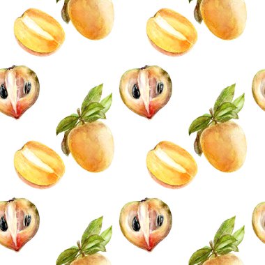 Sapodilla meyve seamless modeli. El çizmek suluboya illüstrasyon izole beyaz arka plan üzerinde.