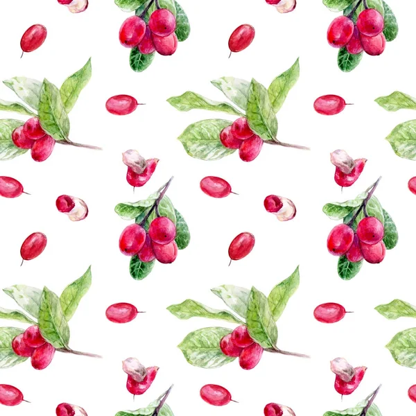 Wunderfrucht Nahtloses Muster Wunderfrucht Hand Zeichnete Die Aquarell Illustration — Stockfoto