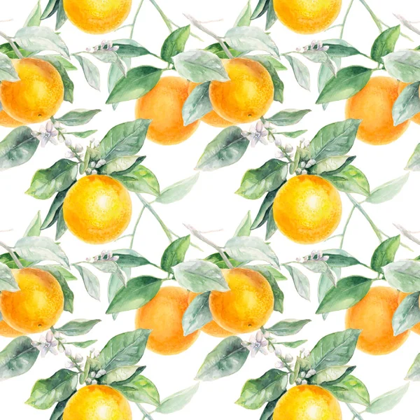 Patrón Sin Costura Naranja Naranja Fruta Mano Dibujar Acuarela Ilustración —  Fotos de Stock