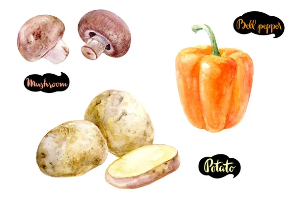 Champignons, Kartoffeln, Paprika Aquarell Illustration. — Stockfoto