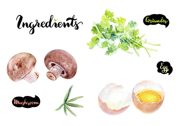 Champiñones, huevo, cilantro acuarela ilustración . —  Fotos de Stock
