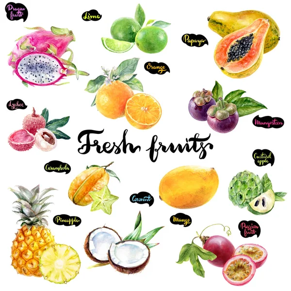 Frutas tropicales acuarela conjunto ilustración . — Foto de Stock