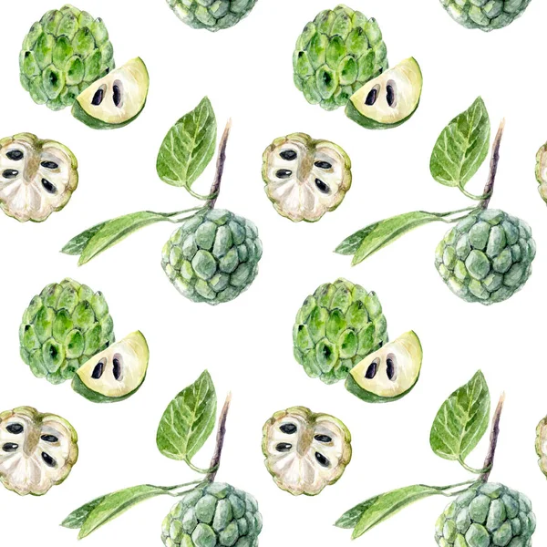 Custard sugar apple watercolor pattern.