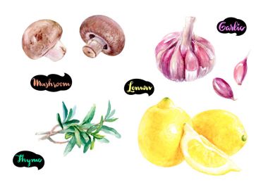 mantar sarımsak limon suluboya