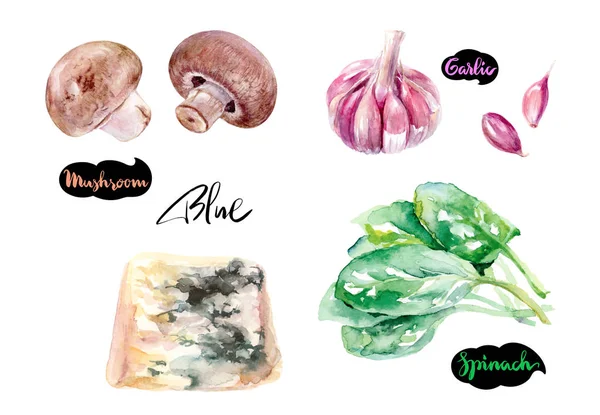 Cogumelos alho espinafre aquarela ilustração . — Fotografia de Stock