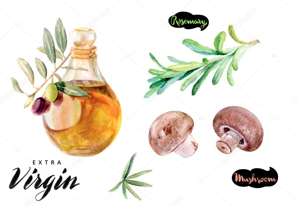 mushroom olive oil rosemary watercolor