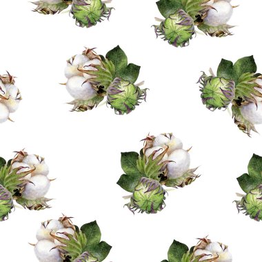Cotton hand drawn watercolor illustration. Seamless pattern.