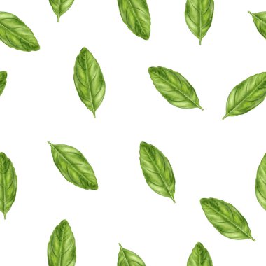 Basil leaf watercolor illustration seamless pattern.