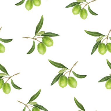 Yeşil zeytin elle çizilmiş suluboya çizimi. Kusursuz desen.
