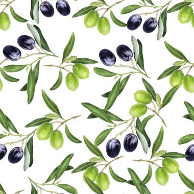 Zeytin elle çizilmiş suluboya çizimi. Kusursuz desen.