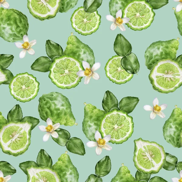 Bergamot fruit hand drawn watercolor illustration. Seamless pattern.