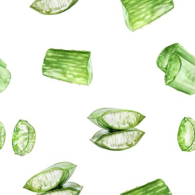 Aloe vera el çizimi suluboya çizimi. Kusursuz desen.