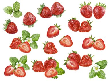 Çilek seti suluboya beyaz arkaplanda izole edildi