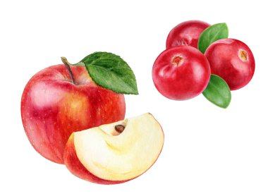 Kızılcık elma suluboya resmi beyaz arkaplanda izole edilmiş