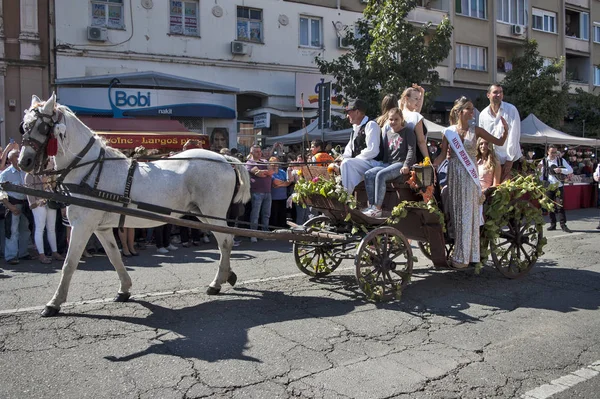 Carruaje de caballos con invitados — Foto de Stock