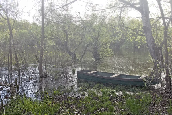 Río Tisa Fluye Silenciosamente Través Llanura Barco Pesca Están Atados — Foto de Stock